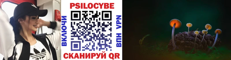 сколько стоит  Орёл  Псилоцибиновые грибы Cubensis 
