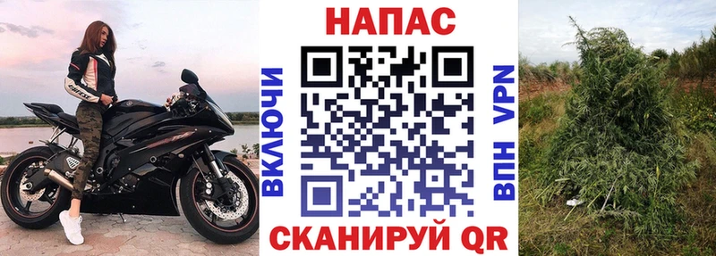Бошки марихуана Bruce Banner  как найти закладки  Орёл 